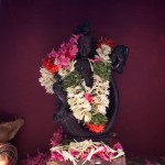 Shrine of Sri Krishna after the Kumabhisheka ceremonies
