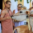 At 8 am on March 27, 2017, Sri Sannidhanam offered worship to Goddess Seethalakshmi in the temple