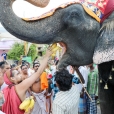 The Jagadgurus in Tenkasi